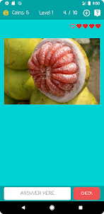 Guess the Fruit Name