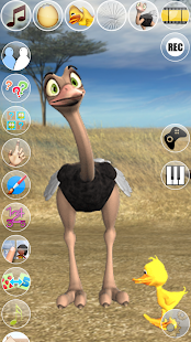 Talking Joe Ostrich Screenshot