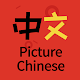 Picture Chinese Dictionary دانلود در ویندوز