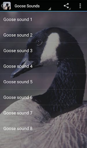 Android application Goose Sounds screenshort