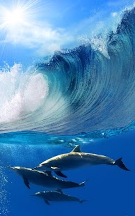 Delfine Hintergrundbilder Screenshot