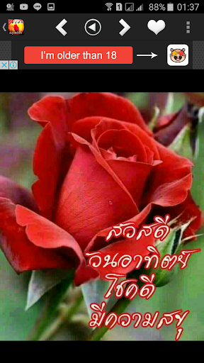 Logo https://play-lh.googleusercontent.com/k_AkRNk1jzf2PzKBV2ZySKfKfW4jaYNUW5yuy7c4P7uzCgPCcBoTz3BmeZjiEWYRvg