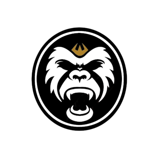 RAW Sports logo