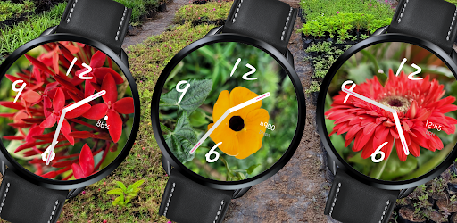 Android application Floral Stock Watch Face screenshort