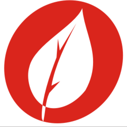 Agrofer Motorista logo