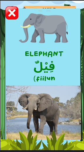 Animals in Arabic For Kids
