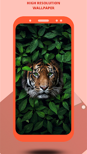 tiger wallpaper leopard