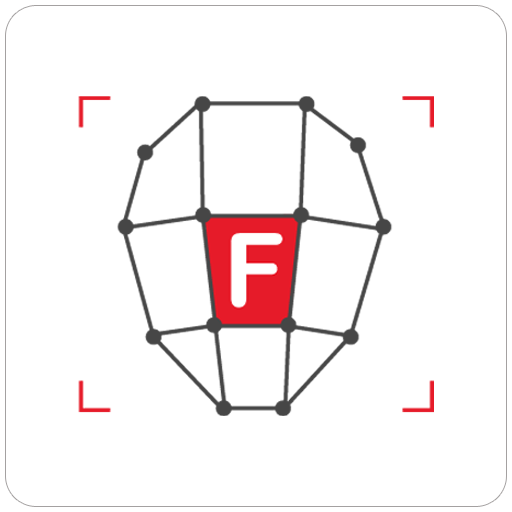 Faceometrics Terminal logo