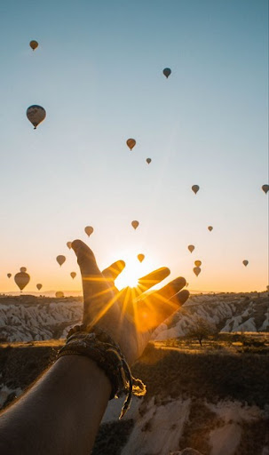 Android application 80 Favorite Wallpapers screenshort