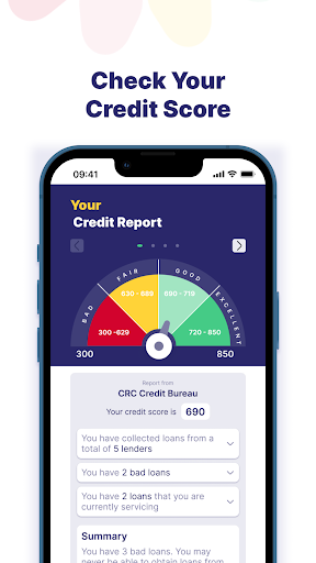PebbleScore: Credit Report App Screen 3