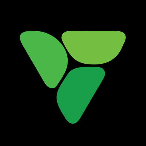 MV Fitness - Boot Camp & PT logo