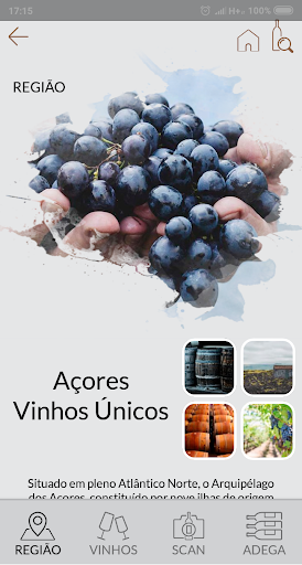 Vinhos dos Açores Screen 3