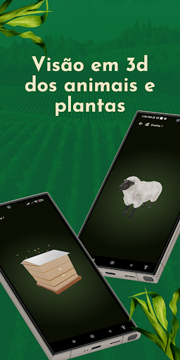 Gestão Agropecuária  Bitcampo