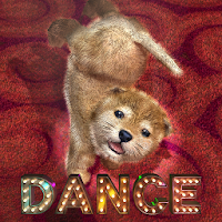 動物ダンス 子犬