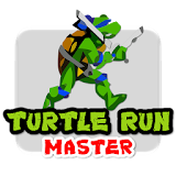 Turtle Run Master icon