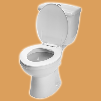 Flush Toilet - Toilet Sound