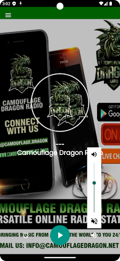 CAMOUFLAGE DRAGON RADIO Screen 2