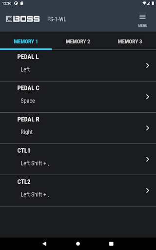 Screenshot of FS-1-WL Editor