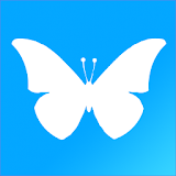 Butterfly Species of North America icon
