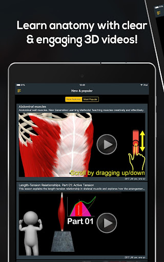 Screenshot of Anatomy by Muscle & Motion