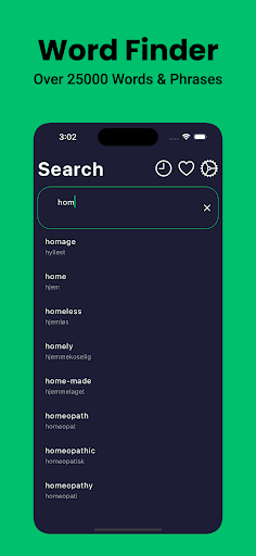 Norwegian Dictionary English Screen 3