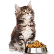Cat Recipes -Quick &Easy Homemade Cat Food Recipes
