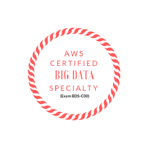 AWS Big Data Practice Test 1.5 Icon