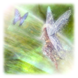 Magic fairies Live Wallpaper icon