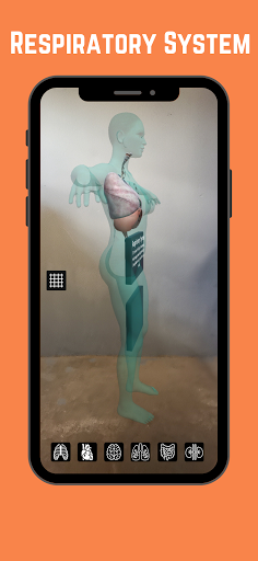 Explore the complete human anatomy with Sisanda