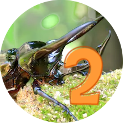 Insect Catching 2  Icon