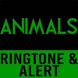Animals-Maroon 5 Ringtone icon
