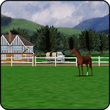 Horse Farm Livewallpaper 3D icon