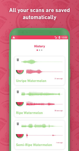 Melony: World First Watermelon Screen 2