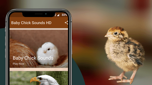 Chicks Sounds - Chirping Noise Screen 2