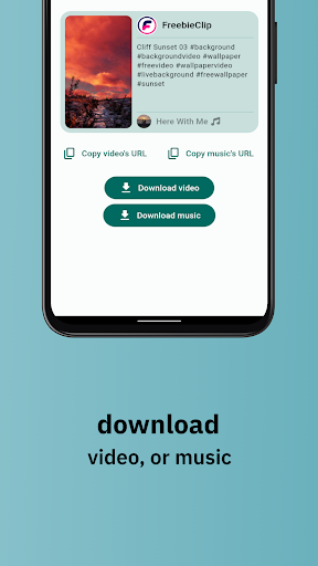 TokTok Downloader Screen 3