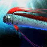 oarfish and mysterious deep-sea fish icon