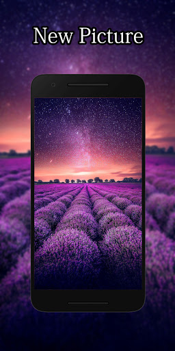 Nature Wallpapers HD 4K