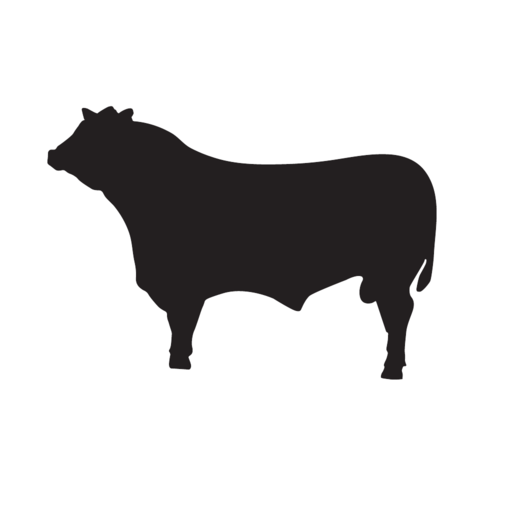 BEEF meat & wine logo