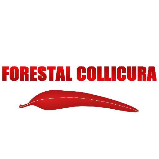 Guía de despacho electrónica f logo