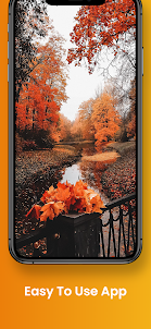 Beautiful Fall Wallpapers 4K