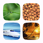 Guess the Word: 4 Pics 1 Word