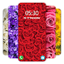 HD Flower Wallpapers 4k