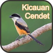 Top 33 Music & Audio Apps Like Kicauan Cendet Gacor - Offline - Best Alternatives