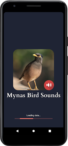 Android application Mynas Bird Sounds screenshort