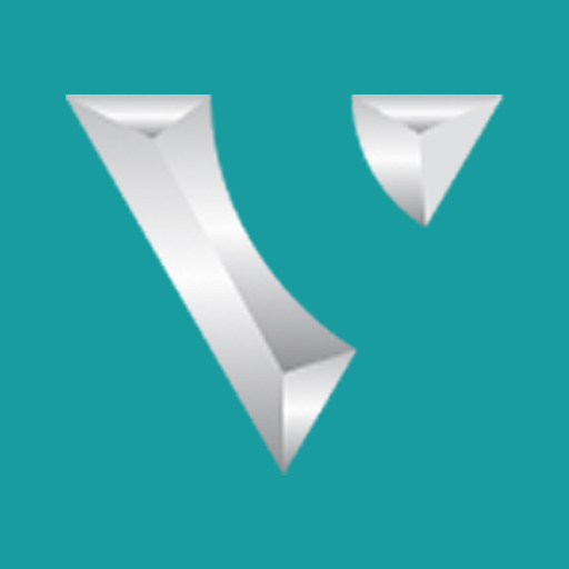 VSN Interactive logo