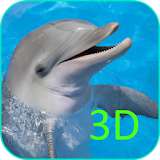 Dolphins Video Wallpaper 3D icon