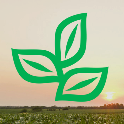 alborada logo