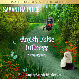 Icon image Amish False Witness: A Cozy Amish Mystery