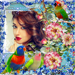 Cover Image of Download Bird Photo Frame  APK