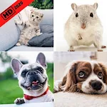 Cover Image of ดาวน์โหลด Cute Pets Wallpapers HD 2020  APK